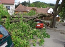 Kwikfynd Tree Cutting Services
ruddsgully
